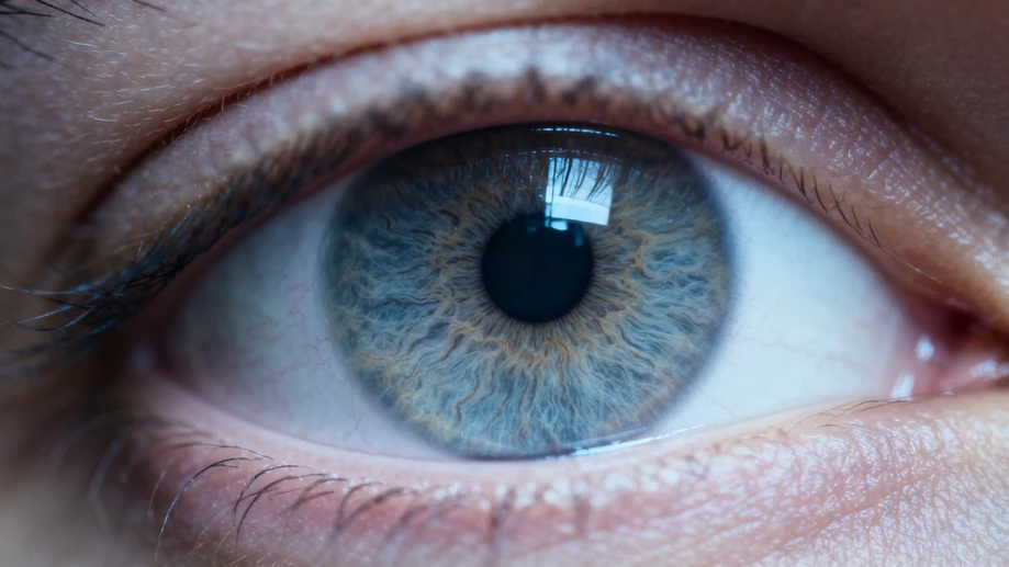 Unbelievable Wonders Your Eyes Perform Daily